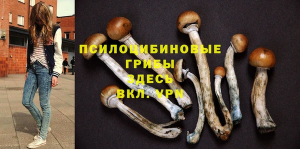 ALPHA-PVP Алексин