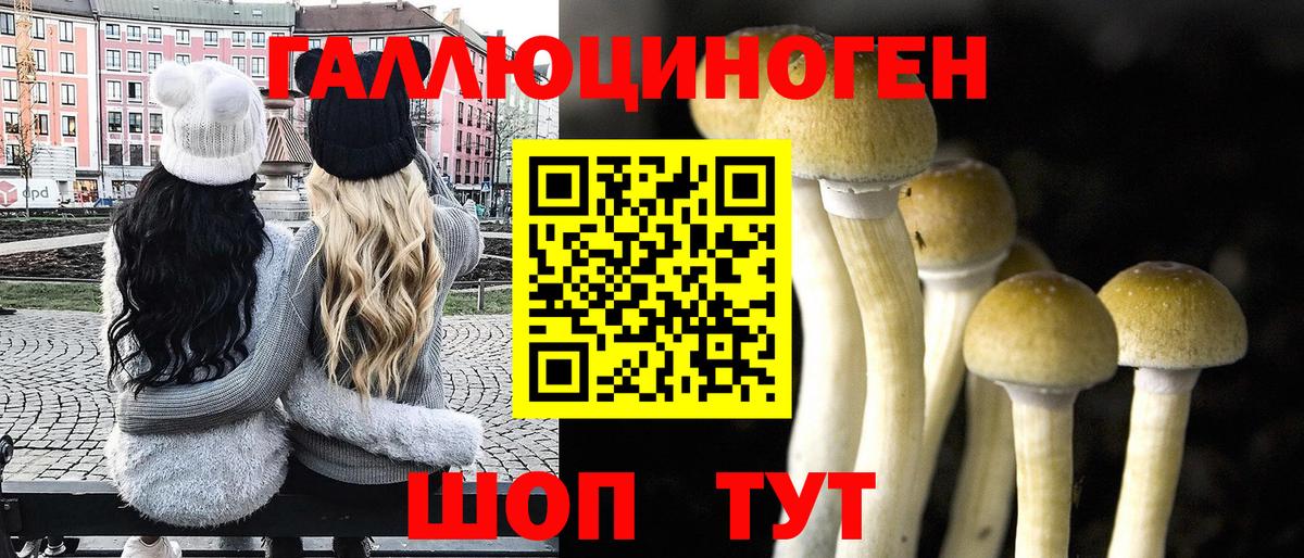 Галлюциногенные грибы GOLDEN TEACHER Салават