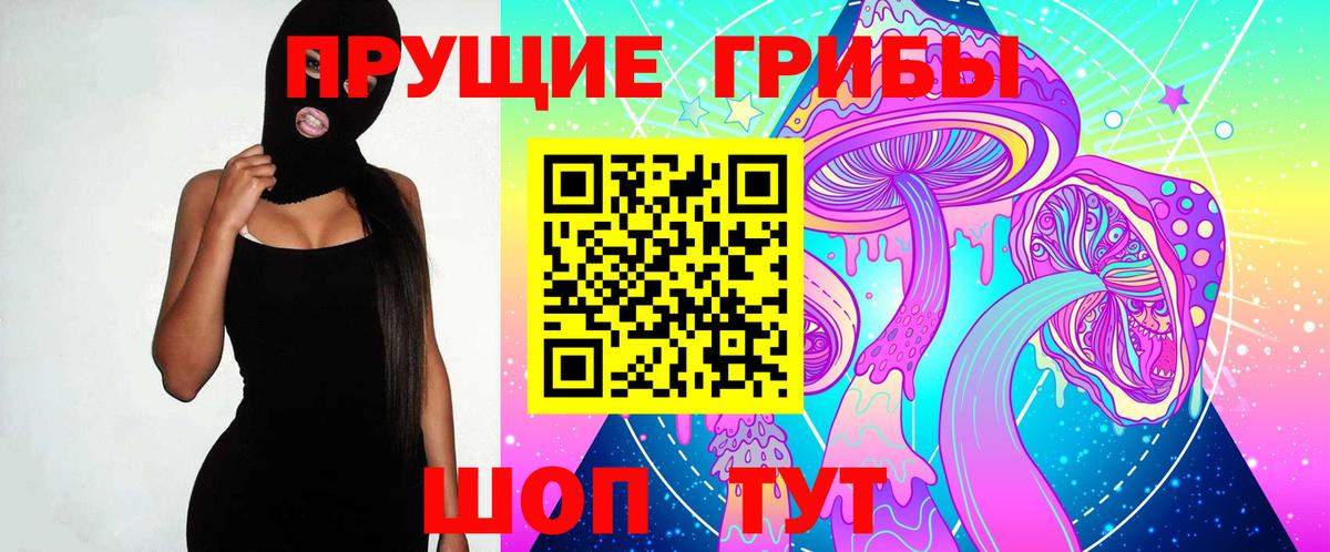 Галлюциногенные грибы Psilocybe  Вход с VPN  Салават 